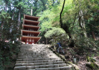 続・室生寺　五重塔は突然視界に入ってくる