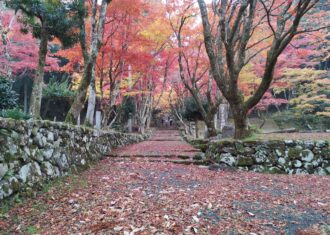 奥琵琶湖　長浜 鶏足寺の紅葉